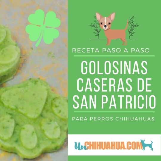 Receta de Golosinas para perros chihuahuas nutritivas y caseras, para celebrar San Patricio